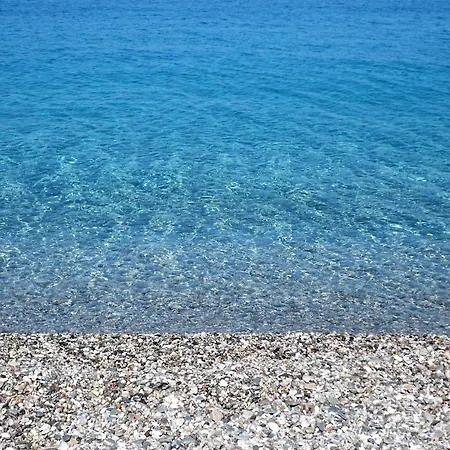 Giallo - Proppro - Fronte Maree Milazzo